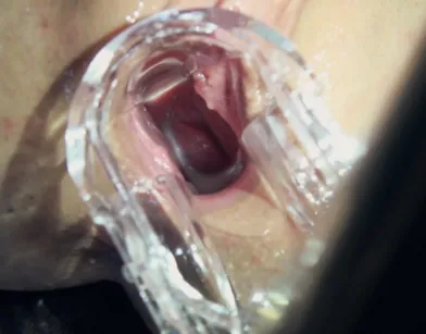 Супер секс с папиком закончился кремпаем