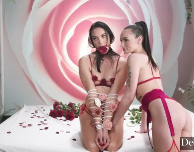 Очень красивый секс втроем